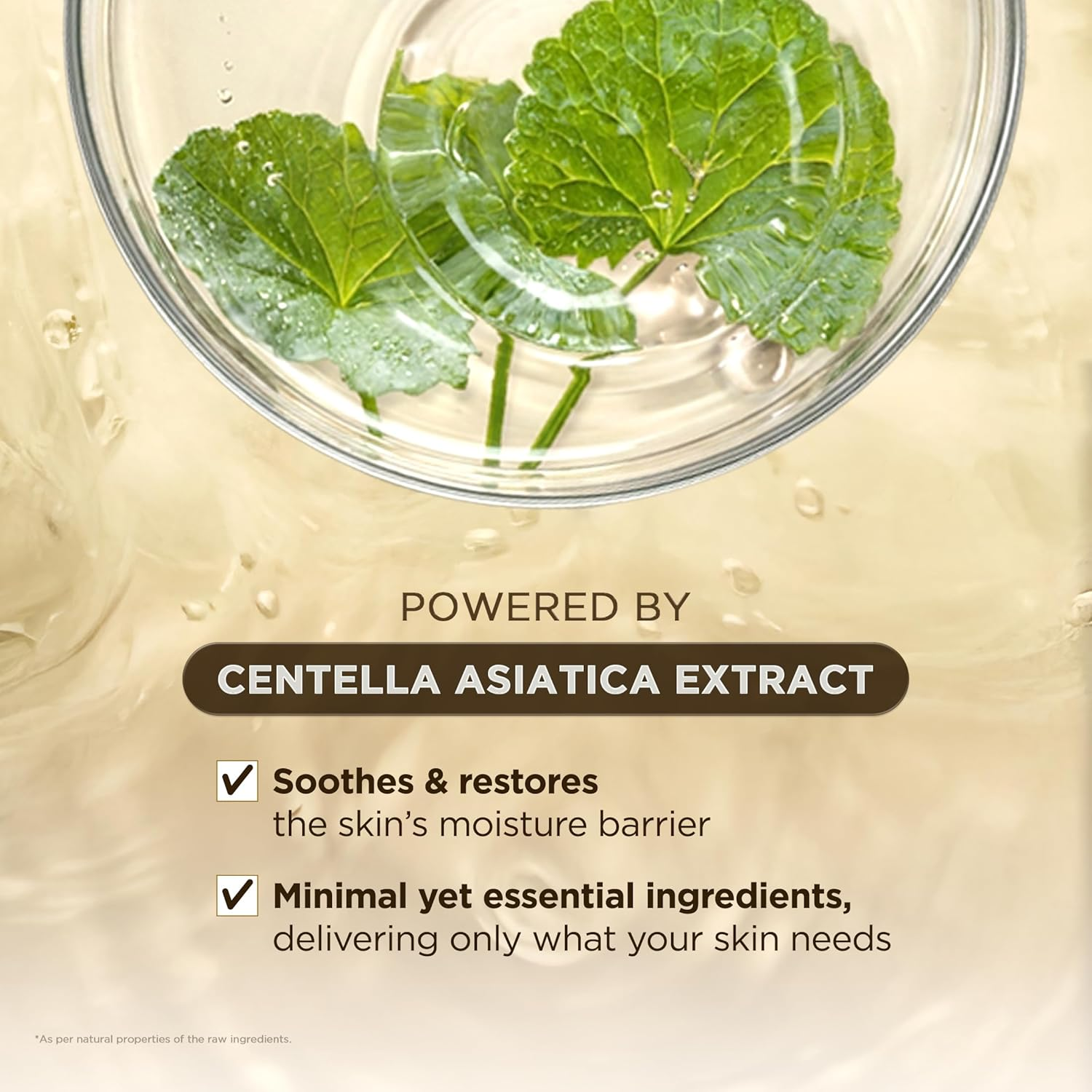 Fresh centella asiatica leaves in water representing key ingredient in SKIN1004 Madagascar Centella Ampoule
